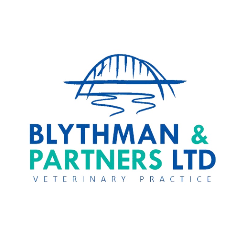 Blythman & Partners Gosforth